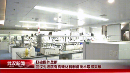 武漢先進院突破有機硅材料制備技術，為電氣科技國產(chǎn)化注入新動能